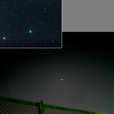 カシオペア座を目指すラブジョイ彗星