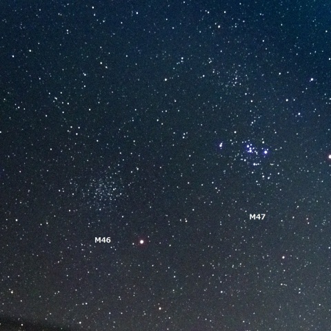 M46・M47星団（3）