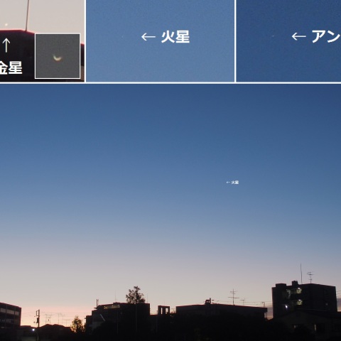 東の空に現れた金星