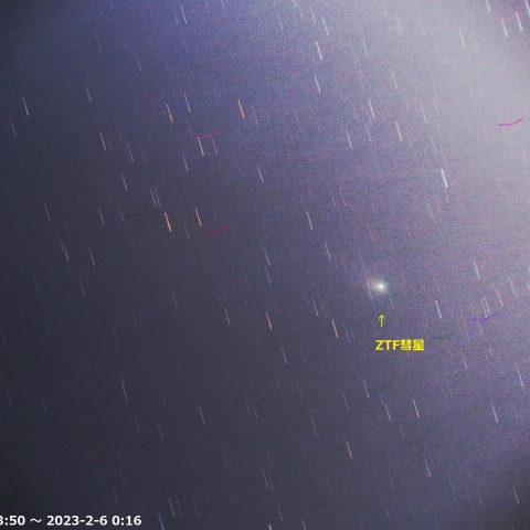 ZTF彗星（2/5~2/6）