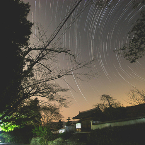 蓮華院ぐるぐる