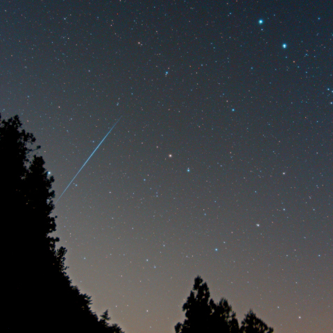奈良大塔こと座流星群