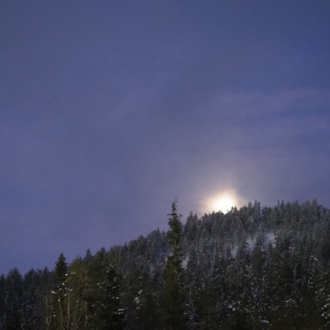 夜明けの月、ポルックス