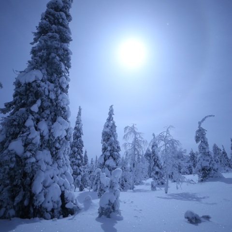 月暈へのトレース