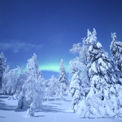 光の国からの使者