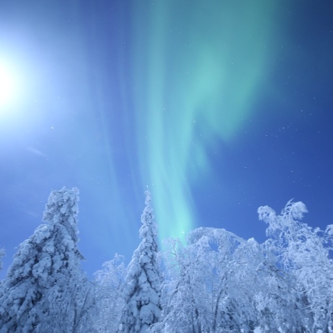 月光にも負けず