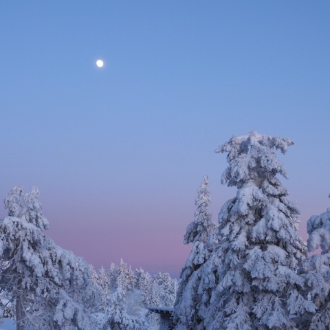 樹氷、ビーナスベルトに昇る月