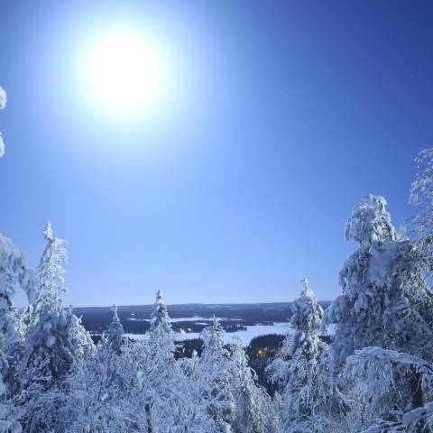 スノームーンに煌めいて