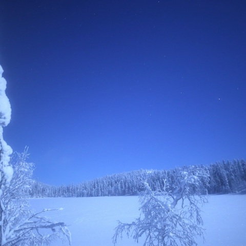 雪原上のアルクトゥールス