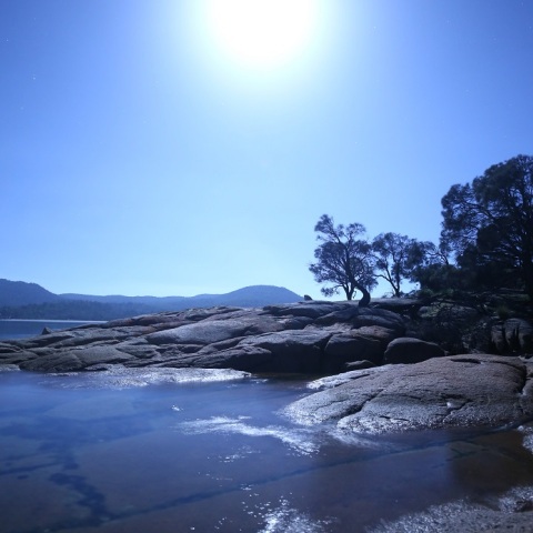 ワームムーンに煌めいて