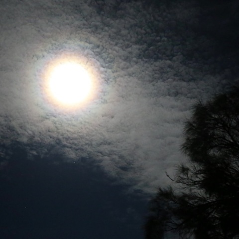 ワームムーンの月光環