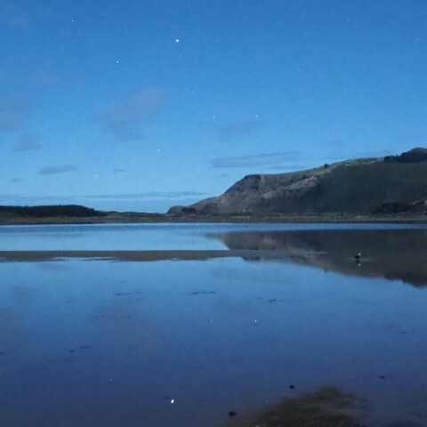 Wild  NightーReflection  of  Bird & Canopus