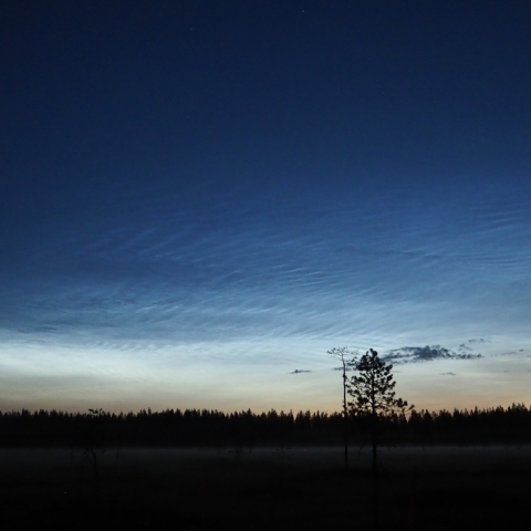 中間圏の輝きー夜光雲Ⅱ
