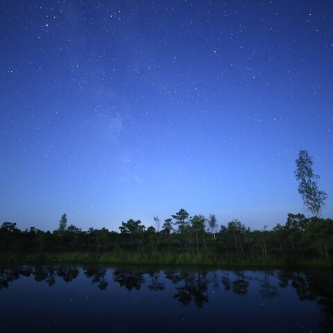 月夜の湿原銀河