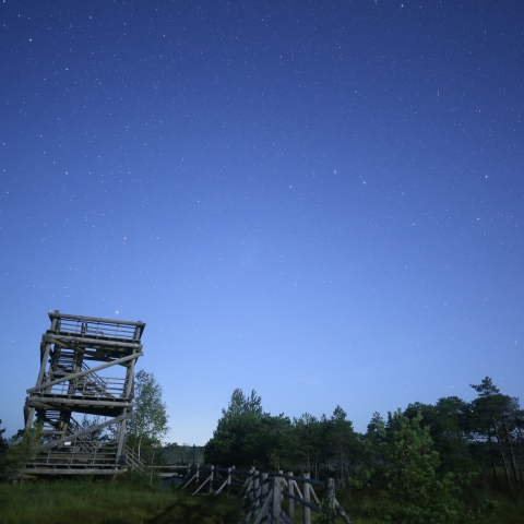 展望塔と北斗七星