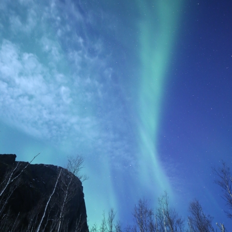 天空のトリコロール