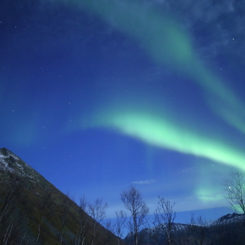 北天のオーロラ