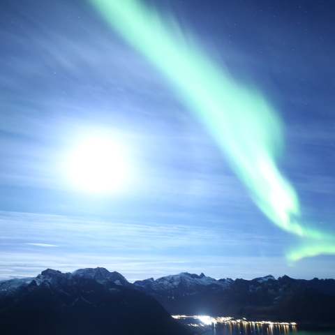 海面のトリコロール