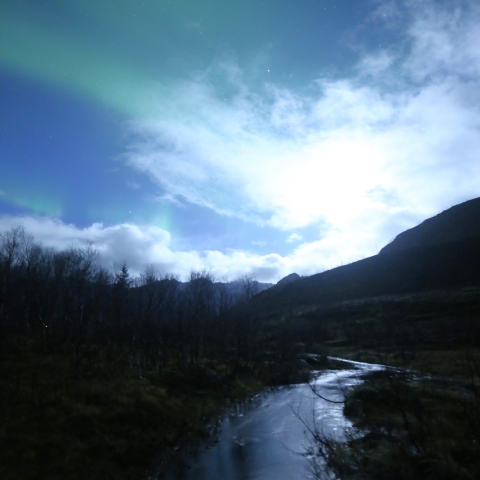 湿原の月、オーロラ