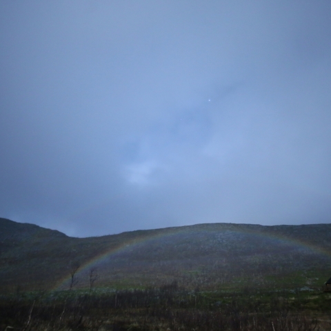 月虹と一つ星（ベガ）