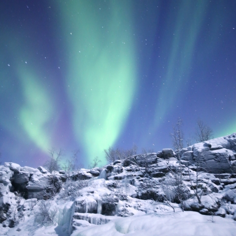 Frozen  Aurora