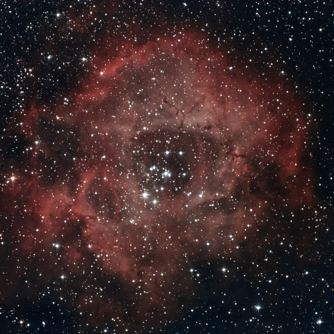 NGC2237 バラ星雲初撮影