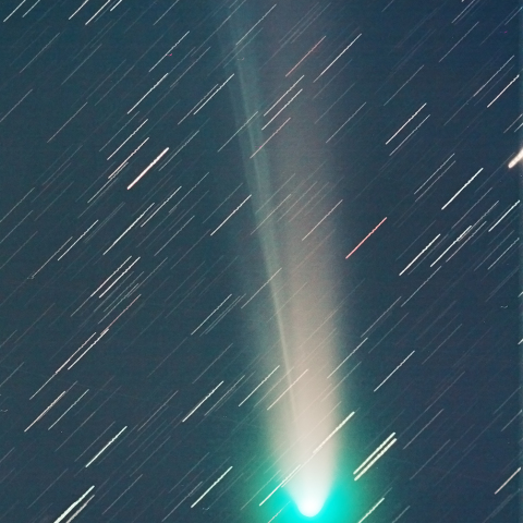 ラブジョイ彗星