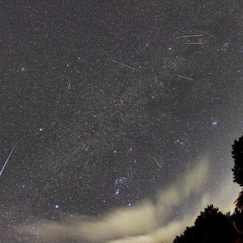 2014年　ふたご座流星群