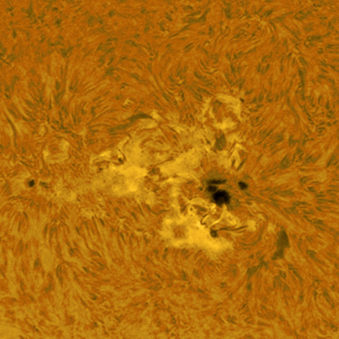 5月11日の太陽黒点（Hα）