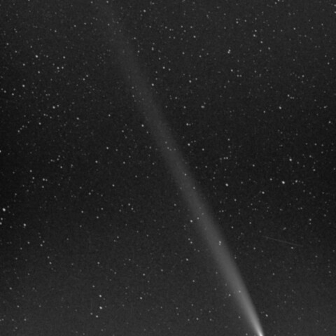 青森からの紫金山・アトラス彗星