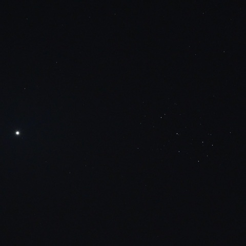 ビーナスと６人の乙女たち