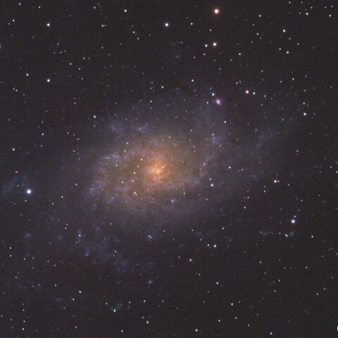 M33（さんかく座銀河）
