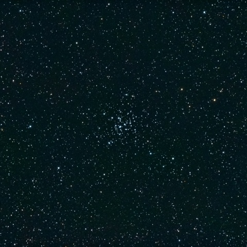 ぎょしゃ座の散開星団M36