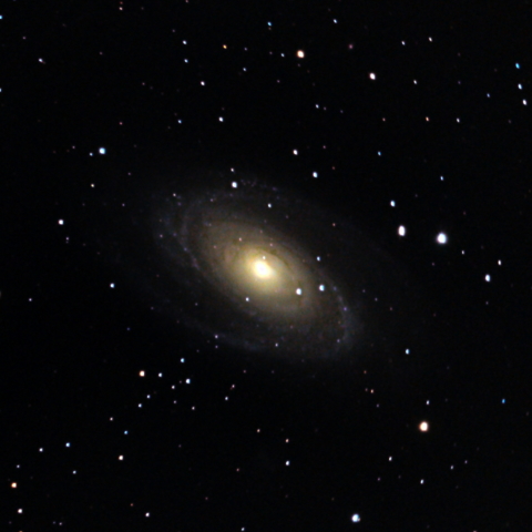 M81