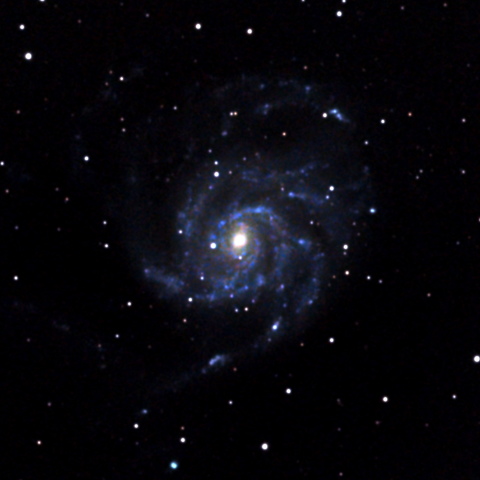 M101（回転花火銀河）