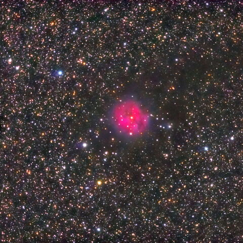 IC5146（まゆ星雲）