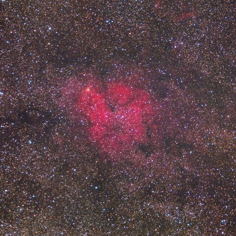 IC1396（Sh2-131）