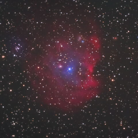 NGC2174（モンキー星雲）