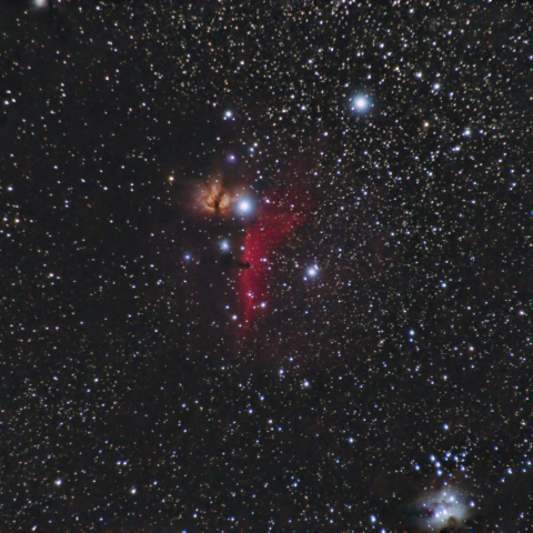 300mm横画角の馬頭星雲と燃える木
