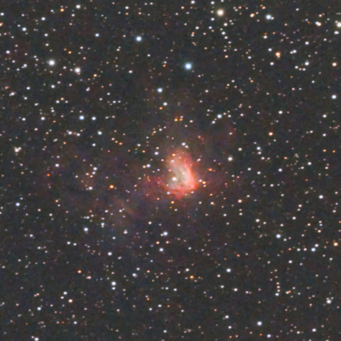 NGC1491