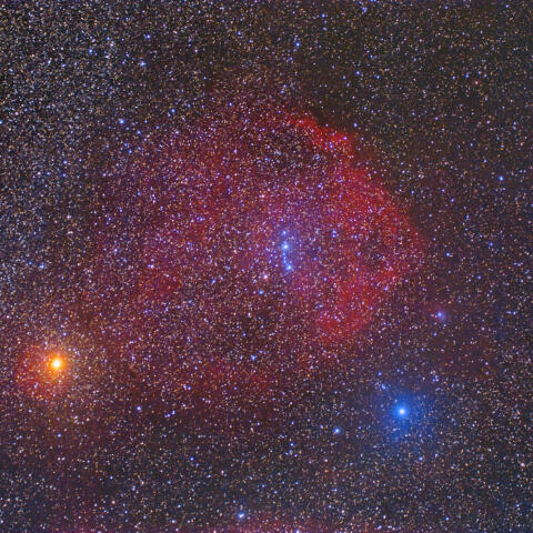 Sh2-264（エンゼルフィッシュ星雲）