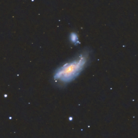 NGC4490(まゆ銀河)
