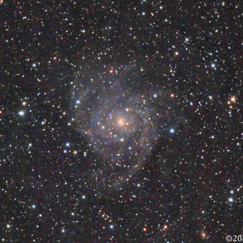 IC342 きりん座の渦巻銀河