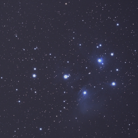 M45 Subaru Cluster