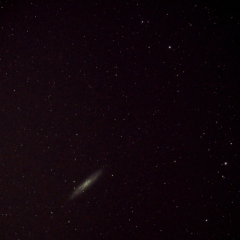 NGC253 Silver Dollar Galaxy