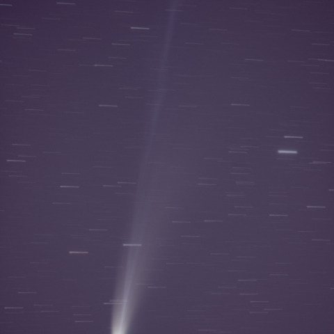 レモン彗星