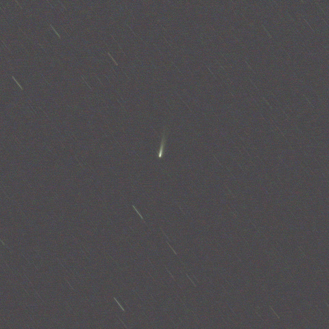 C/2025 K1（撮影　2025/11/19）