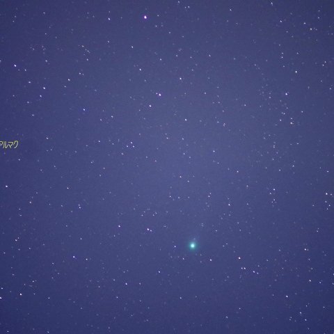 市街地でのラヴジョイ彗星