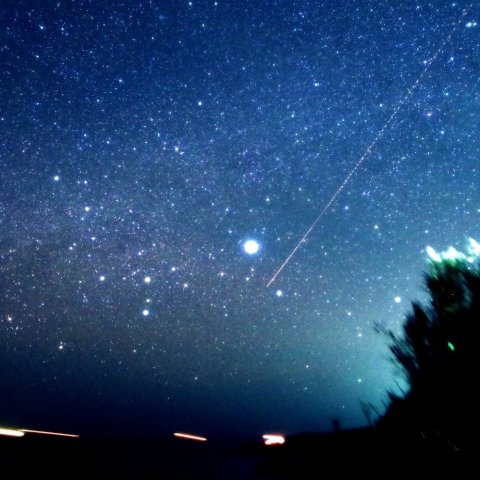 沈むおおいぬ座