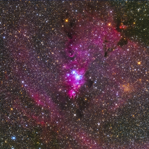 NGC2264（クリスマスツリー星雲）